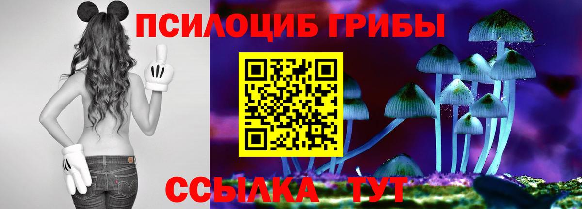 Медногорск  Псилоцибиновые грибы Magic Shrooms  Псилоцибиновые грибы Psilocybine cubensis  Вход с VPN 